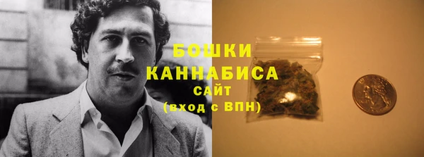 сатива Горнозаводск