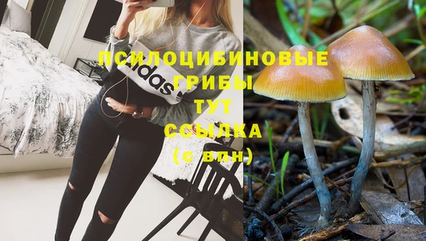 spice Вязники