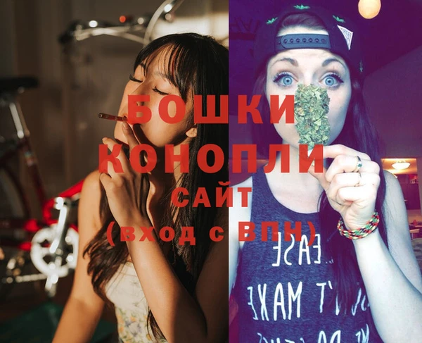 сатива Горнозаводск